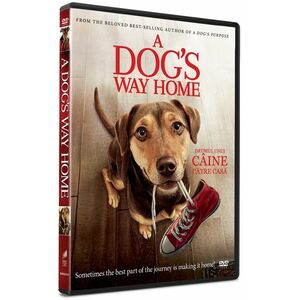 A Dog's Way Home imagine