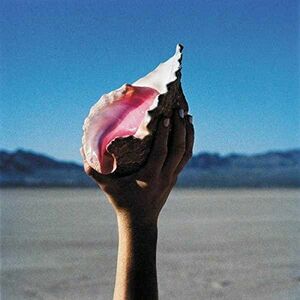 Wonderful Wonderful - Vinyl | The Killers imagine