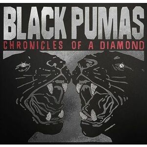 Chronicles Of A Diamond (Deluxe) | Black Pumas imagine
