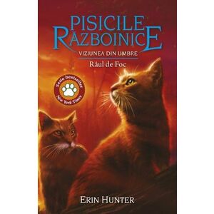 Pisicile Razboinice Vol.35: Viziunea din umbre. Raul de Foc imagine
