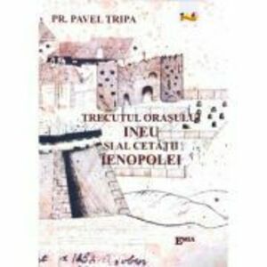 Trecutul orasului Ineu si al cetatii Ienopolei - Pr. Pavel Tripa imagine