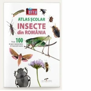 Atlas scolar. Insecte din Romania. Peste 100 de specii reprezentative din fauna tarii noastre imagine