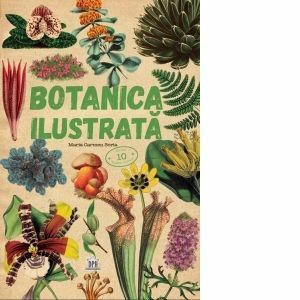 Botanica ilustrata imagine