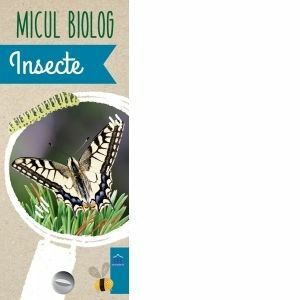 Micul Biolog - Insecte imagine