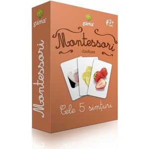 Carti de joc Montessori - Cele 5 simturi | imagine