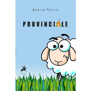 Provinciale | Adrian Voicu imagine