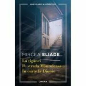 Pe strada Mantuleasa-Mircea Eliade imagine