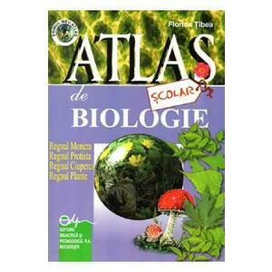 Atlas scolar de biologie - Botanic - Florica Tibea imagine