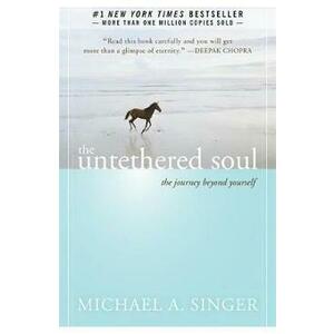 The Untethered Soul: The Journey Beyond Yourself - Michael A. Singer imagine
