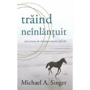 Traind neinlantuit mai presus de situatia umana dificila - Michael A. Singer imagine