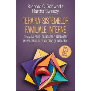 Terapia sistemelor familiale interne - Richard C. Schwartz, Martha Sweezy imagine