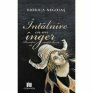 Intalnire cu un inger - Viorica Negoias imagine