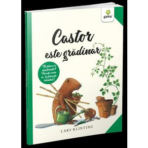 Castor este gradinar | Lars Klinting imagine