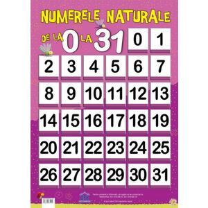Plansa - Numerele naturale de la 0 la 31 imagine