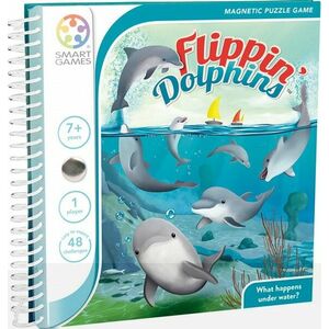 Flippin dolphins imagine