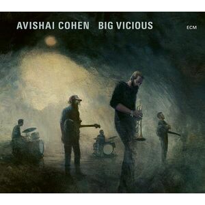 Big Vicious - Vinyl | Avishai Cohen imagine