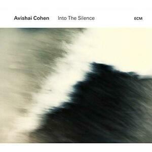 Into The Silence - Vinyl | Avishai Cohen imagine