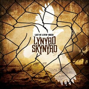 Last of a Dyin' Breed | Lynyrd Skynyrd imagine