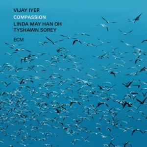 Compassion - Vinyl | Vijay Iyer imagine