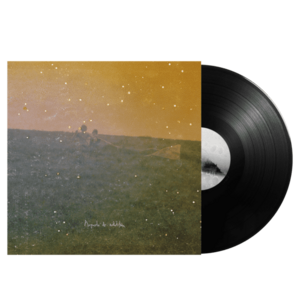 Departe de solstitiu - Vinyl | Alternativ Quartet imagine