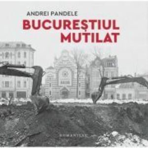 Bucurestiul mutilat - Andrei Pandele imagine