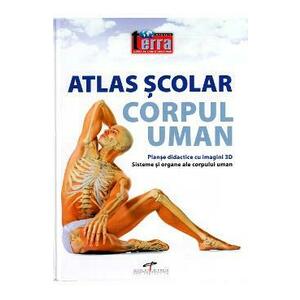 Atlas scolar. Corpul uman imagine