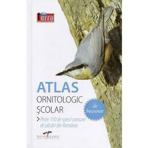 Atlas ornitologic scolar imagine