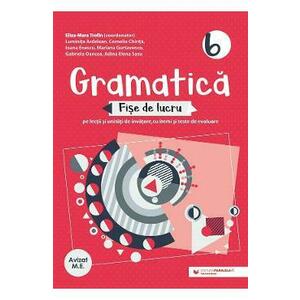 Gramatica - Clasa 6 - Fise de lucru cu iteme si teste de evaluare - Eliza-Mara Trofin imagine