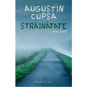 Strainatate - Augustin Cupsa imagine