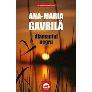 Diamantul negru - Ana-Maria Gavrila imagine