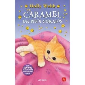 Caramel, un pisoi curajos. Povesti cu animale - Holly Webb imagine