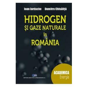 Hidrogen si gaze naturale in Romania - Ioan Iordache, Dumitru Chisalita imagine