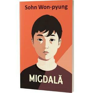 Migdala - Sohn Won-pyung imagine