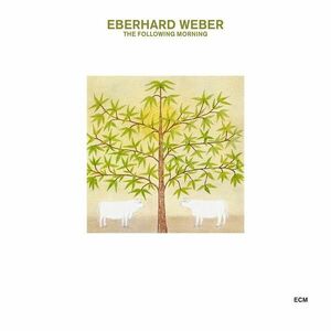 The Following Morning | Eberhard Weber imagine