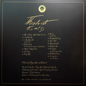 It Is What It Is - Vinyl (Red) | Thundercat imagine