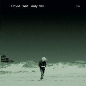 Only Sky | David Torn imagine