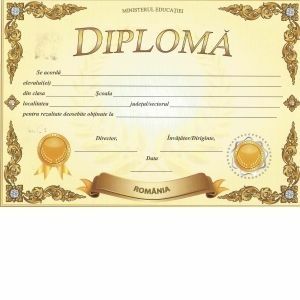 Diploma D5 2024 imagine
