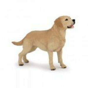 Figurina Catel rasa Labrador, Papo imagine