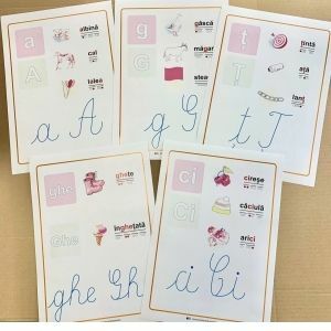 Set 38 planse didactice - Literele alfabetului si grupurile de litere imagine