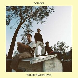 Tell Me That It's Over | Wallows imagine