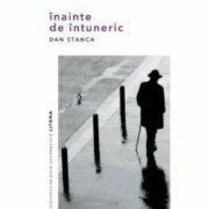 Inainte de intuneric - Dan Stanca imagine