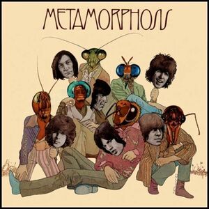 Metamorphosis - Vinyl | The Rolling Stones imagine