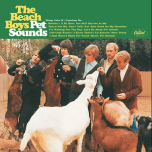 Pet Sounds - Vinyl (33 RPM) | The Beach Boys imagine