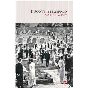 F. Scott Fitzgerald imagine