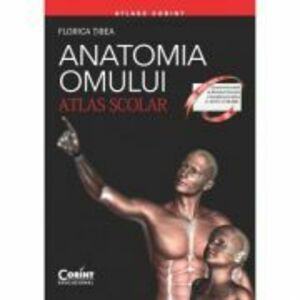 Anatomia Omului. Atlas scolar. Editie revizuita - Florica Tibea imagine