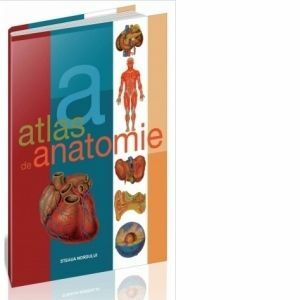 Atlas de anatomie imagine